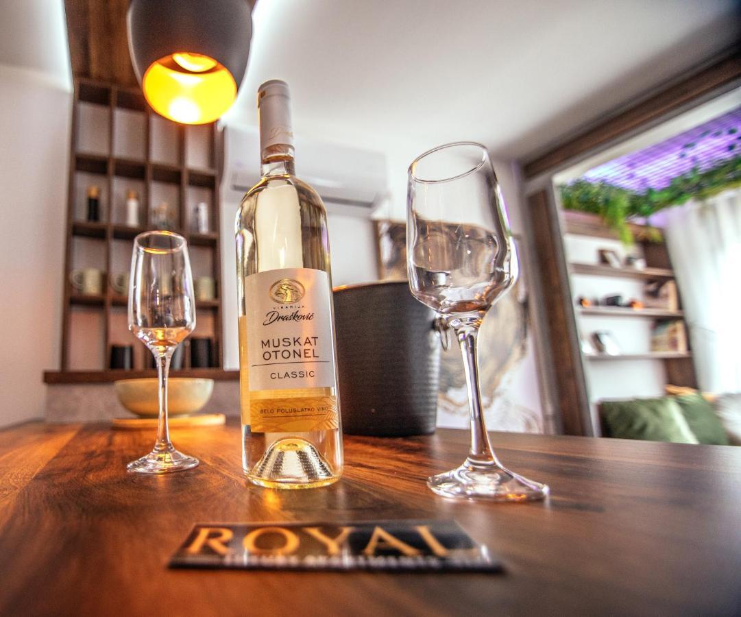 Royal Luxury Apartment Vrsac Ngoại thất bức ảnh