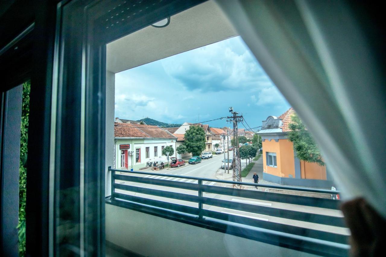 Royal Luxury Apartment Vrsac Ngoại thất bức ảnh